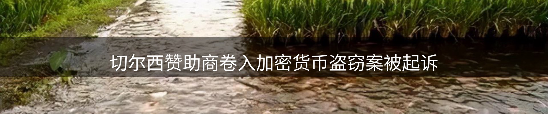 新闻速览
