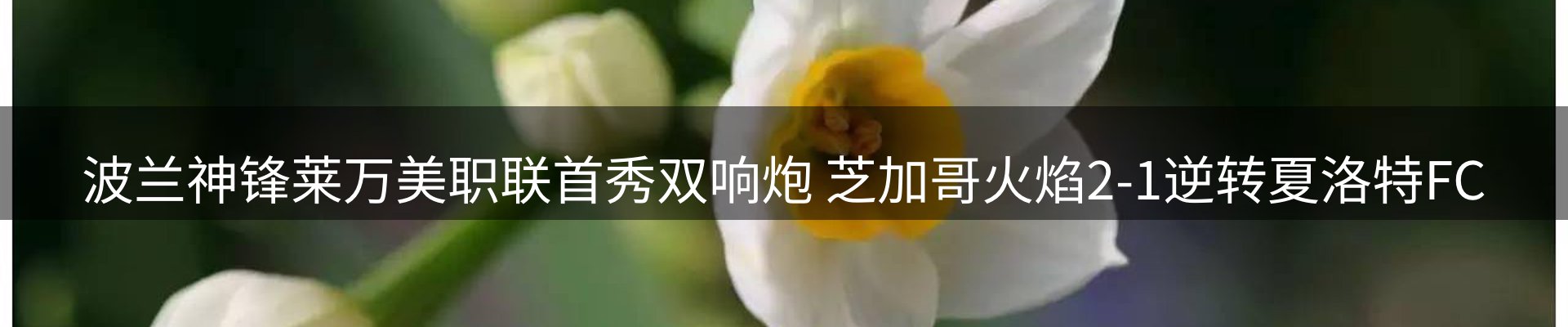 新闻中心
