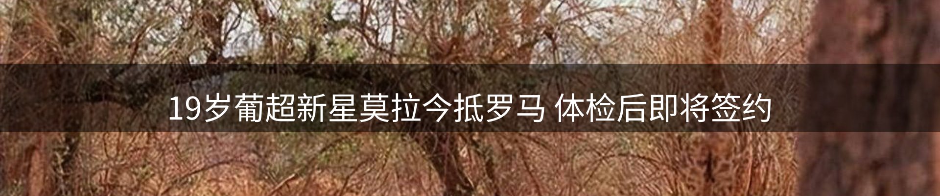 新闻中心